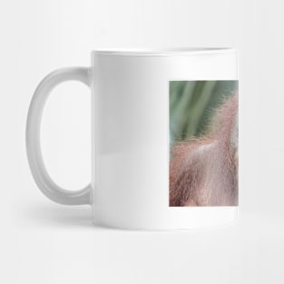 Orangutan Mug